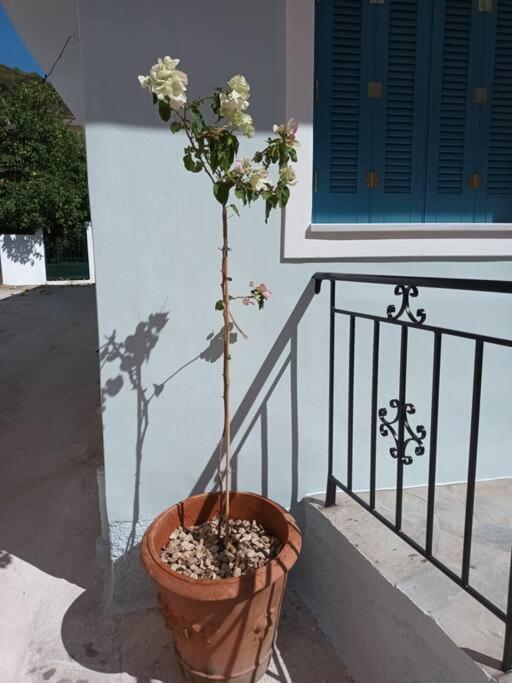 Studio Bella Epidaurus Ngoại thất bức ảnh